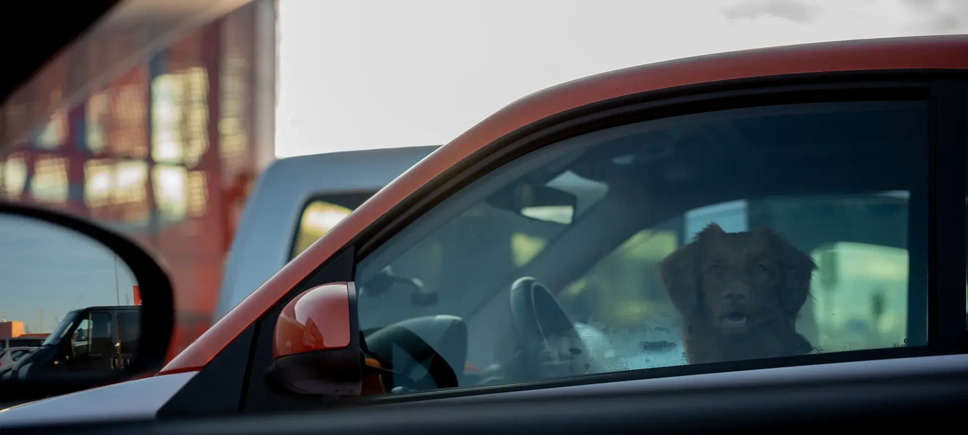 What You Need to Know