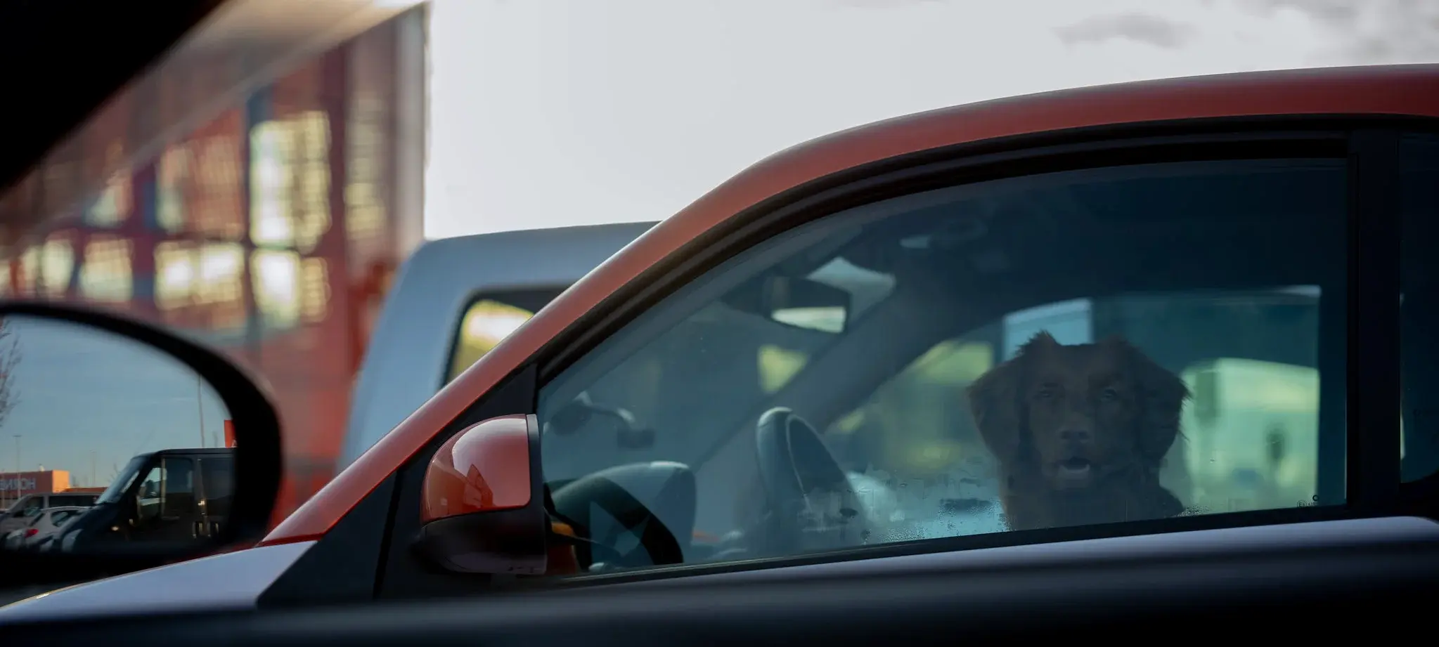 Pro Balloon Payment Calculator Strategies - Article image